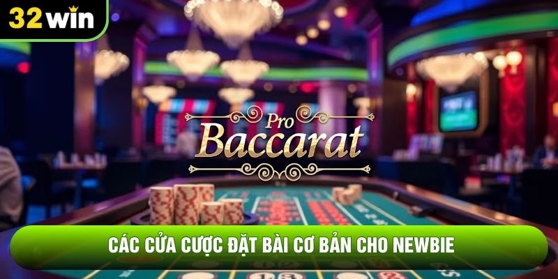 Các cửa cược đặt bài cơ bản cho newbie