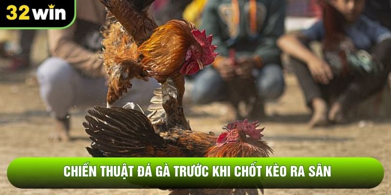 Chiến thuật đá gà trước khi chốt kèo ra sân