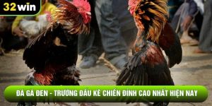 Đá Gà Đen - Trường Đấu Kê Chiến Đỉnh Cao Nhất Hiện Nay