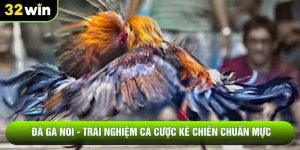 Đá Gà Nòi - Trải Nghiệm Cá Cược Kê Chiến Chuẩn Mực