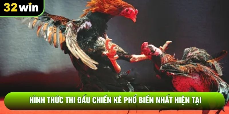 Hình thức thi đấu chiến kê phổ biến nhất hiện tại