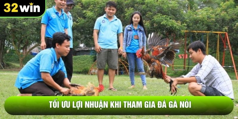 Tối ưu lợi nhuận khi tham gia đá gà nòi